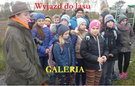 GALERIA: Wyjazd do lasu